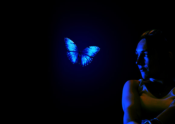 Schmetterling